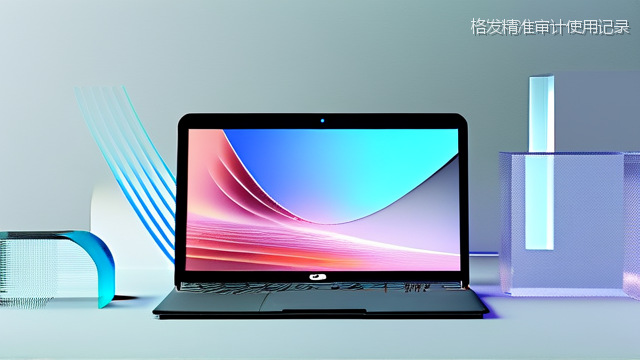 格发精准审计使用记录